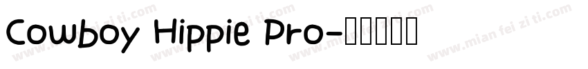 Cowboy Hippie Pro字体转换
